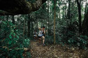 BIB: 
                            <button type="button" onclick="openModal(25391747)" class="btn btn-primary btn-sm float-right btn-popup" data-toggle="modal" data-target=".modal-high-quality">
                        <i class="fas fa-shopping-cart"></i> Add to Cart
                    </button>
                                            <button type="button" onclick="isThisMe(25391747, true)" class="btn btn-success btn-sm float-right btn-popup btn-isme hidden" data-toggle="tooltip" data-placement="bottom" title="นี่คือรูปของคุณใช่ไหม คลิกที่นี่เพื่อเอาเข้าอัลบั้ม">
                        <i class="fas fa-plus"></i> Add to album
                    </button>
                    <button type="button" onclick="isThisMe(25391747, false)" class="btn btn-warning btn-sm float-right btn-popup btn-isnotme hidden">
                        <i class="fas fa-ban"></i> Remove from album
                    </button>